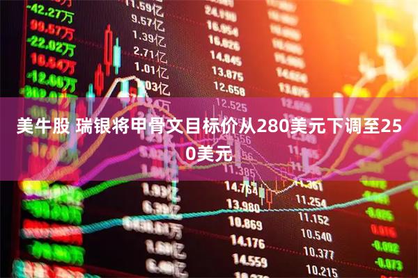 美牛股 瑞银将甲骨文目标价从280美元下调至250美元