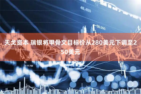 天戈资本 瑞银将甲骨文目标价从280美元下调至250美元