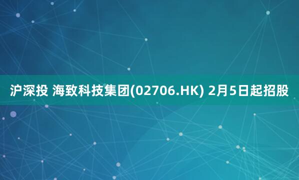 沪深投 海致科技集团(02706.HK) 2月5日起招股