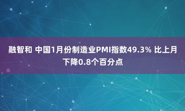融智和 中国1月份制造业PMI指数49.3% 比上月下降0.8个百分点